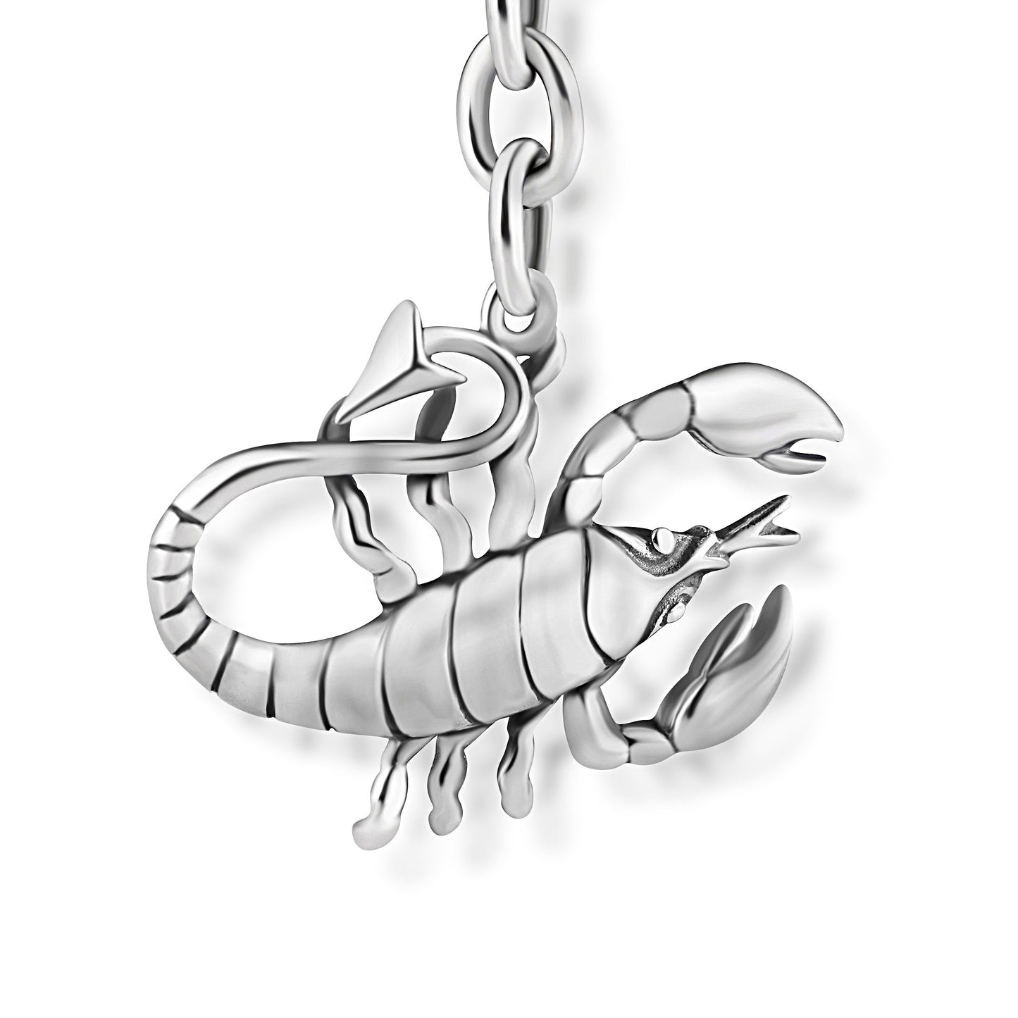 Schlüsselanhänger Skorpion aus 925 Silber, ca. 3 cm x 6 cm, anlaufgeschützt